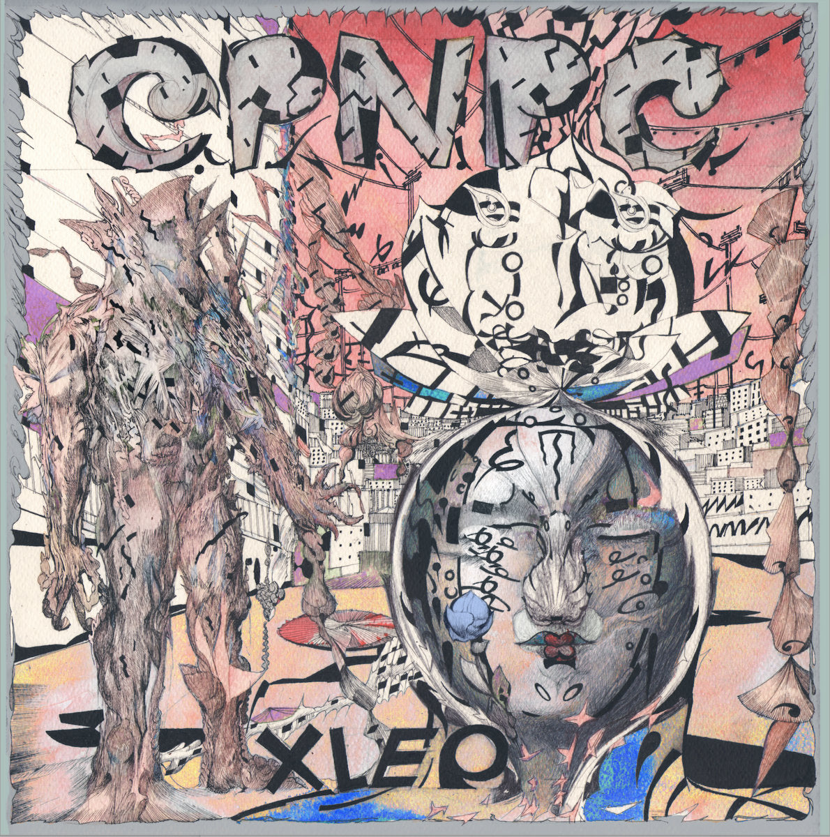 CPNPC: XLEP Cassette