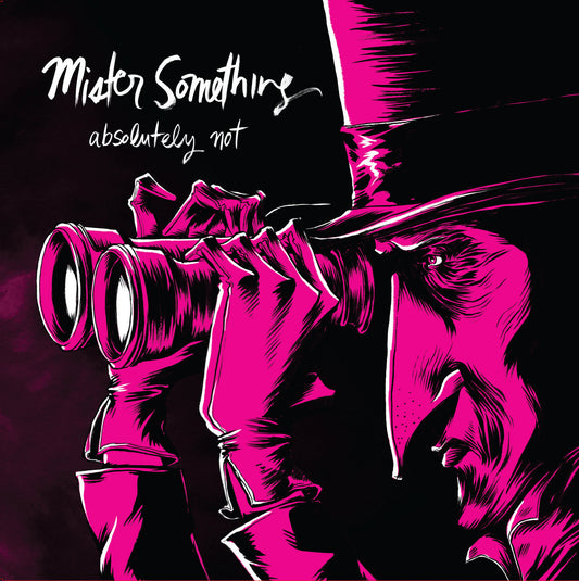 Absolutely Not: Mister Something 10" Vinyl
