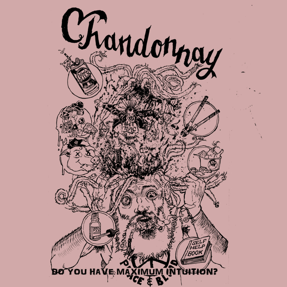 Chardonnay: Do You Have Maximum Intuition? Cassette